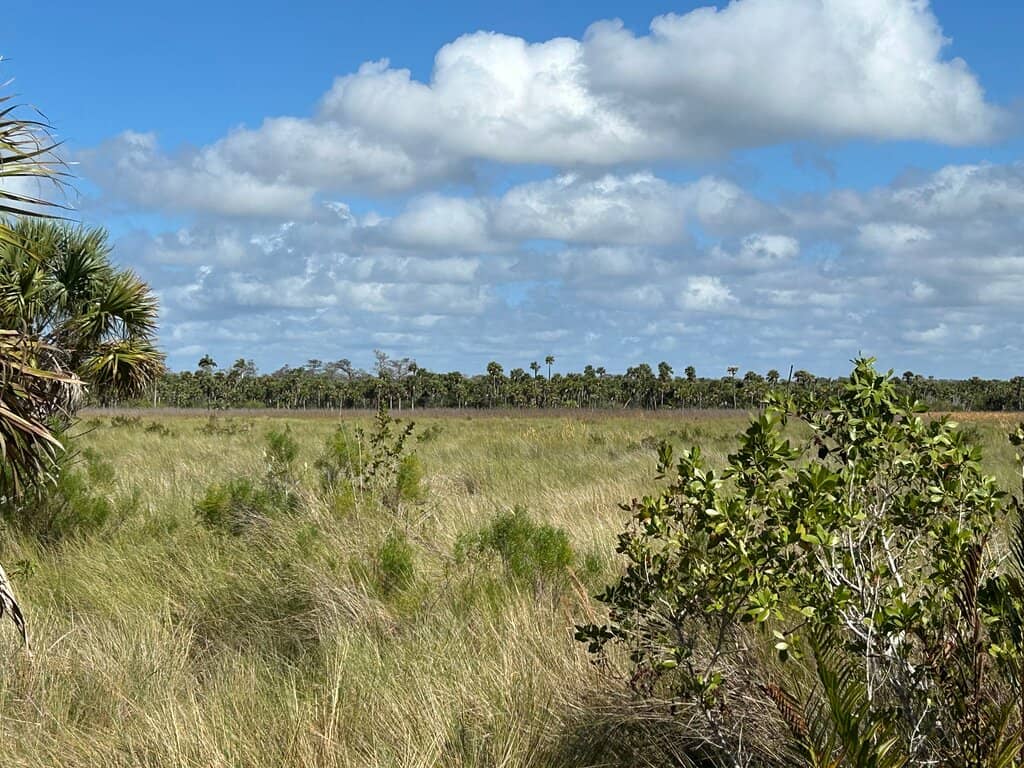 Shaded Observation Pavilion