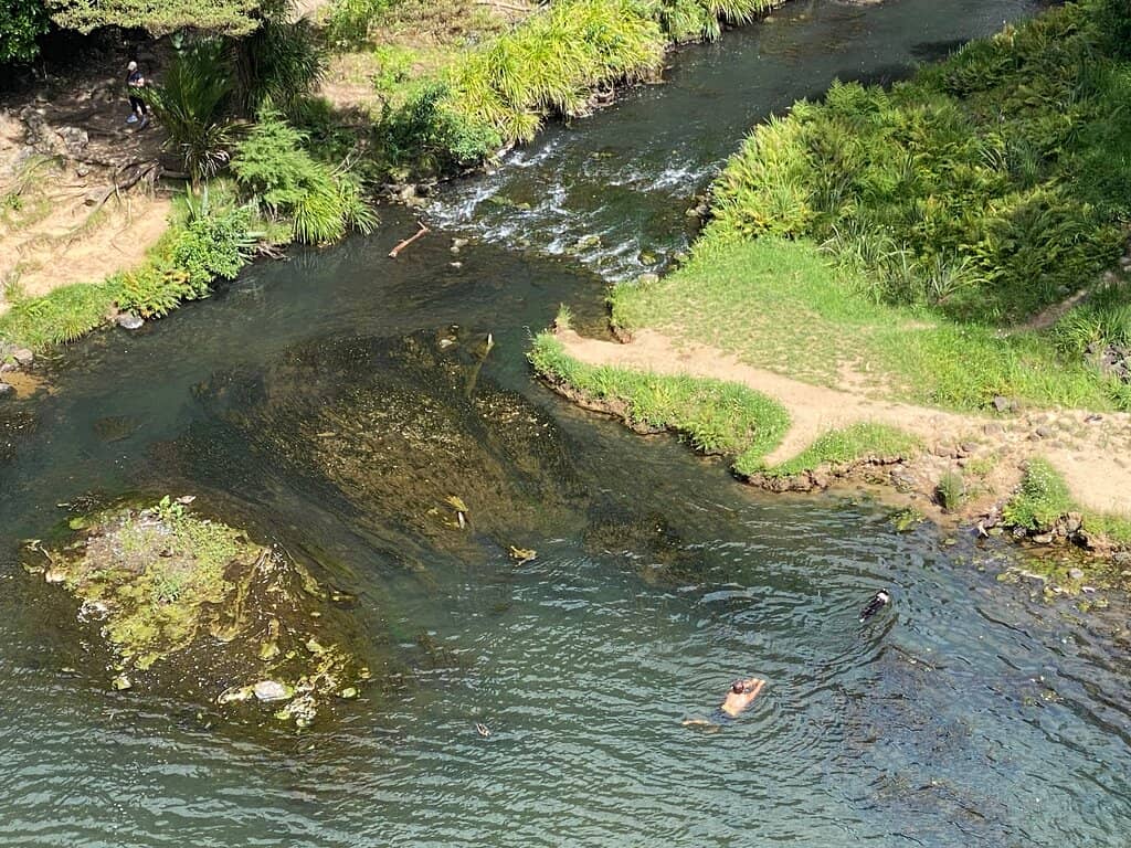 Riverside Picnic Spots