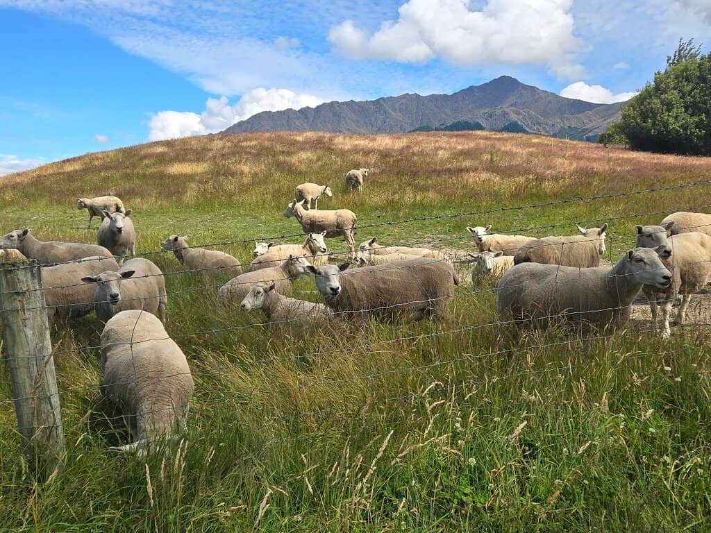 Lord of the Rings Filming Sites