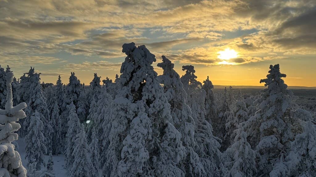 Beginner-Friendly Slopes