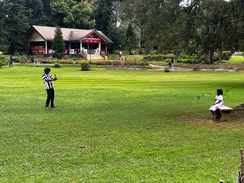 Peaceful Walking Paths