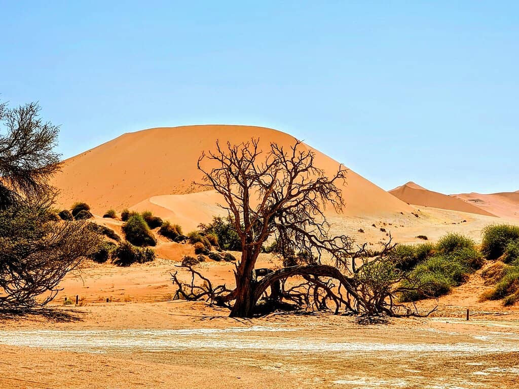 Deadvlei Vista