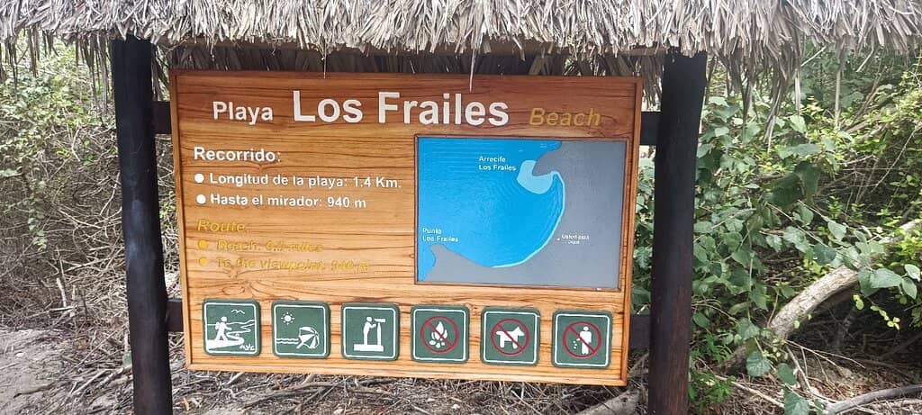 Whale Watching Tours