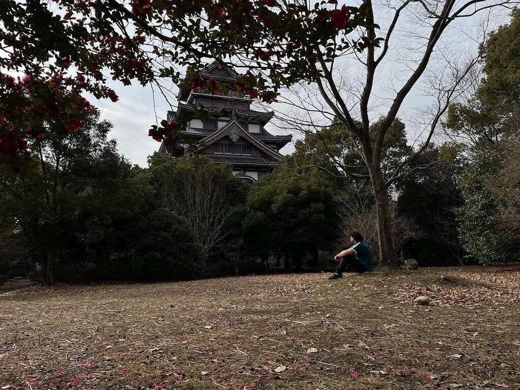 Peaceful Park Ambiance