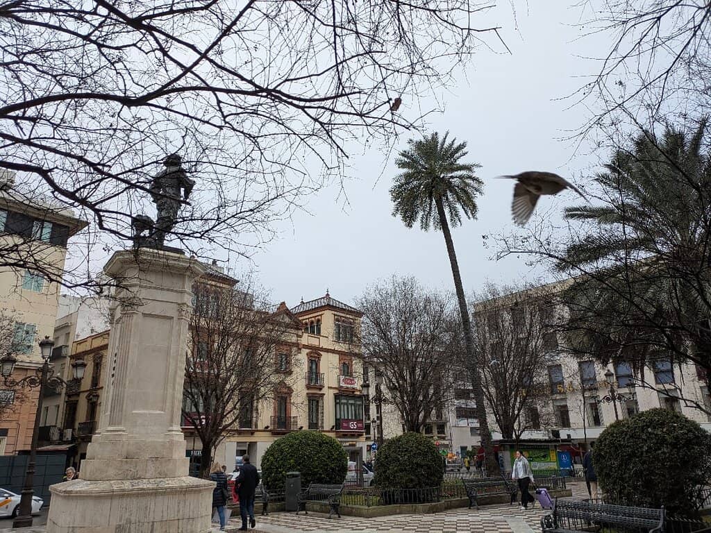 Rooftop Views & Bites