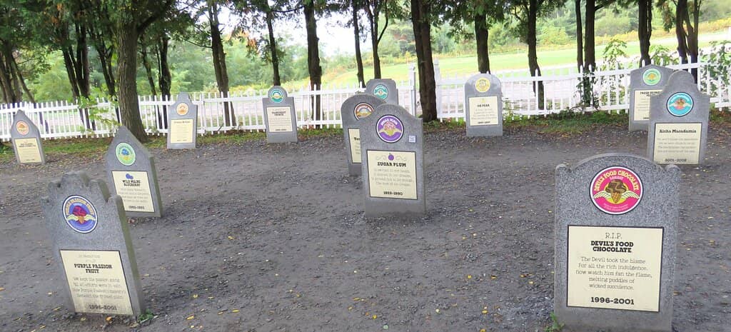 Ice Cream Scoop Shop