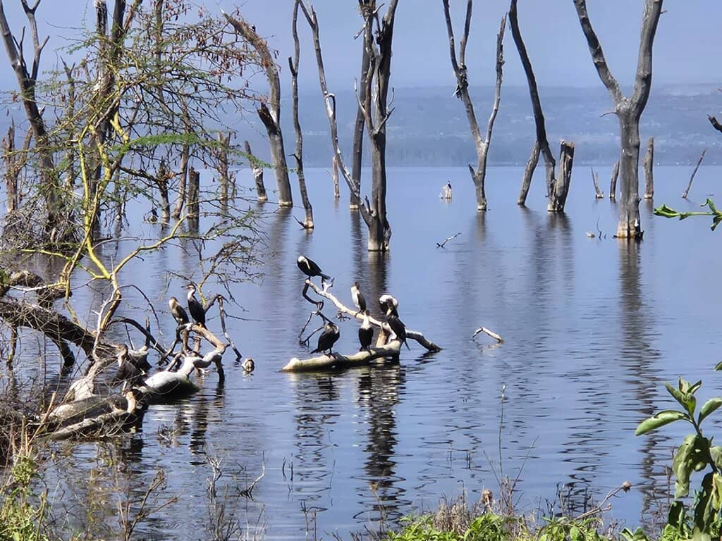 Scenic Lake Views