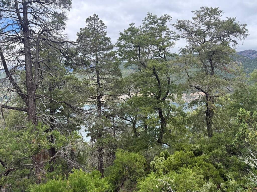 Trekking Trails