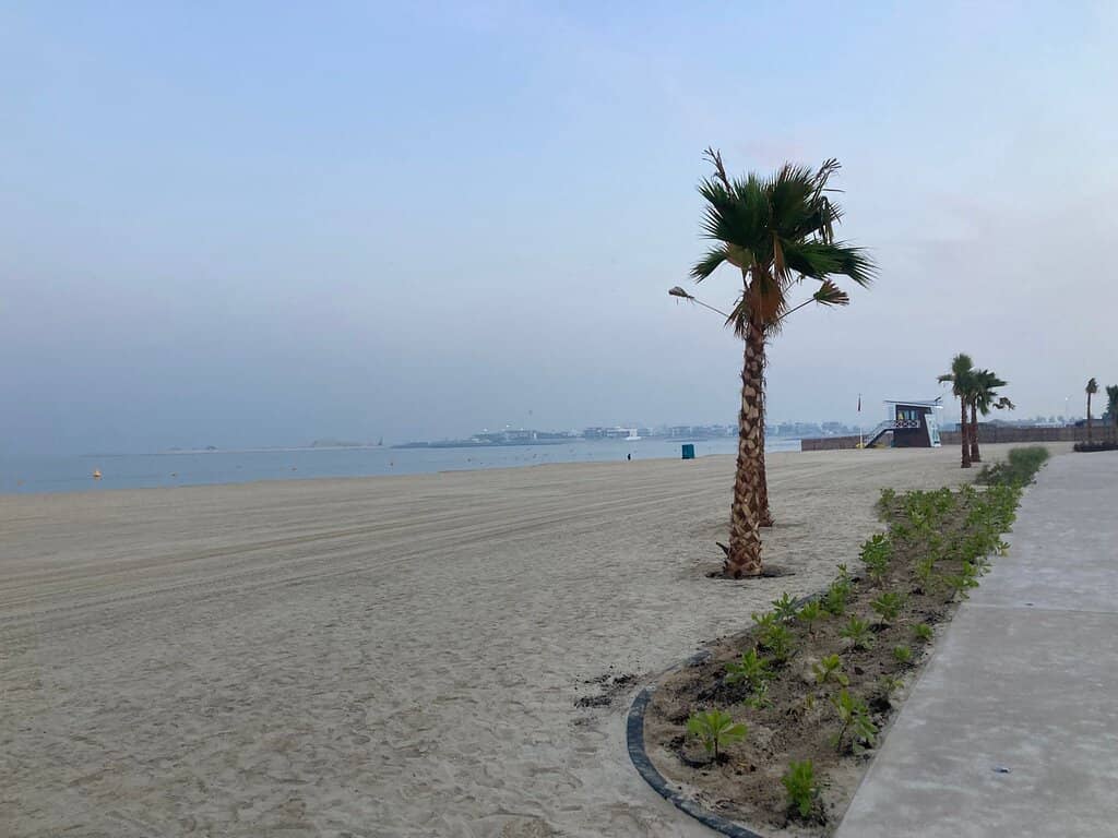 Tranquil Beach Vibes