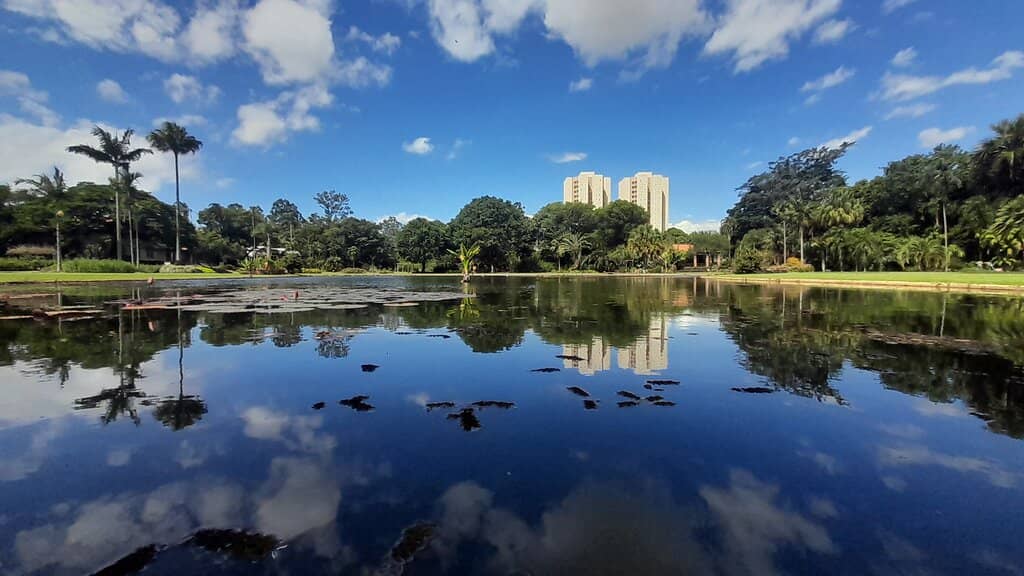 Burle Marx's Palm and Succulent Collection