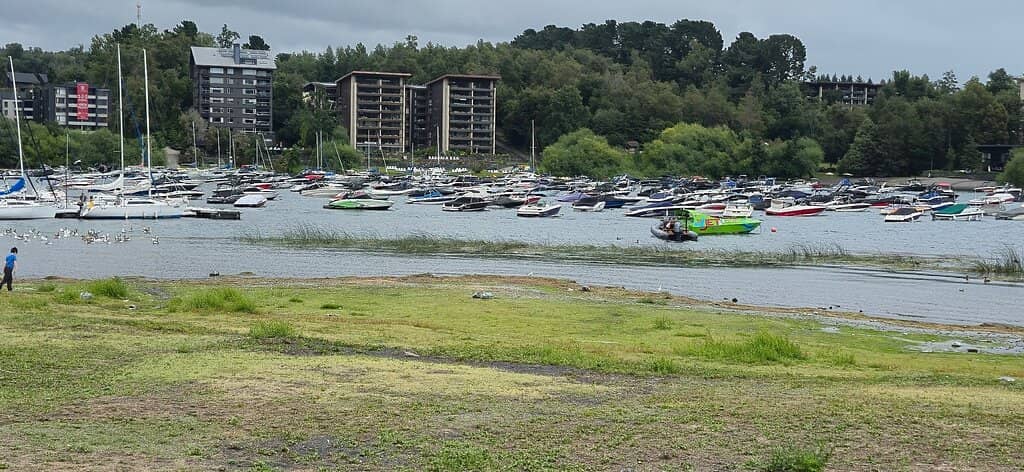 Cerro Quelhue Viewpoint