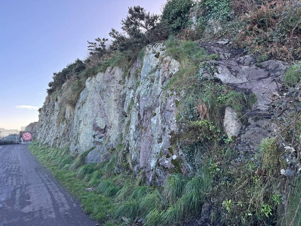Vertical photo