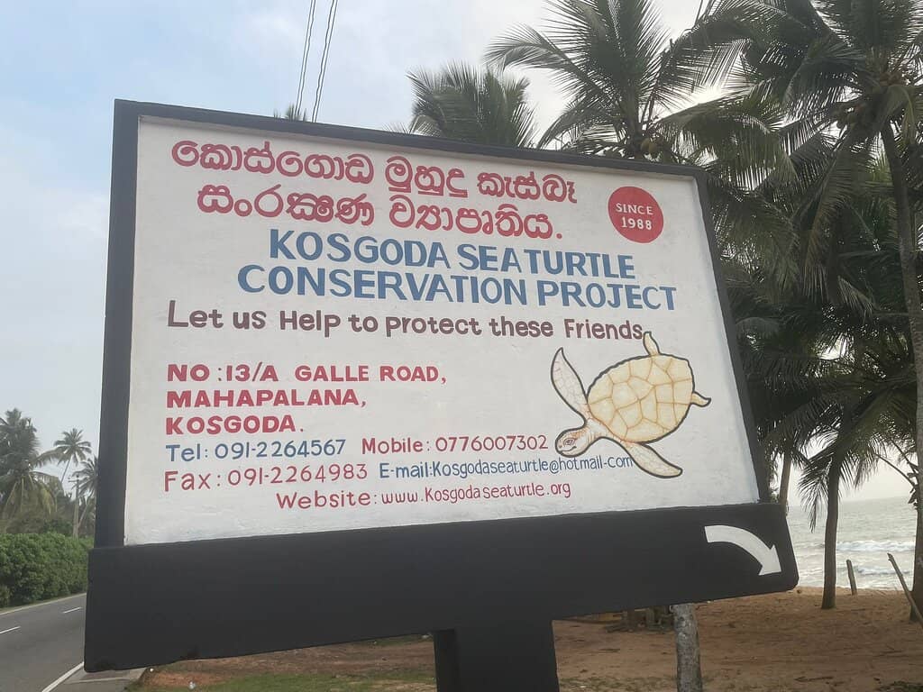 Hatchery and Viewing Tanks