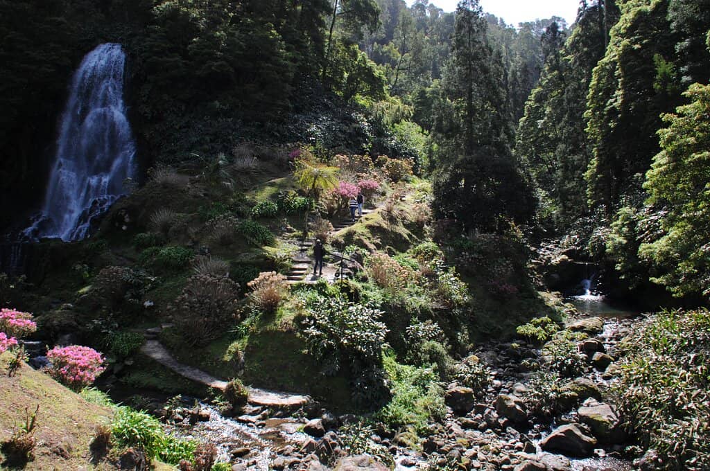 Lush Greenery and Alleys
