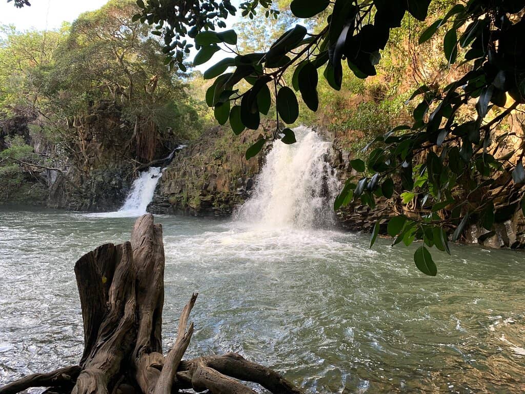Twin Falls