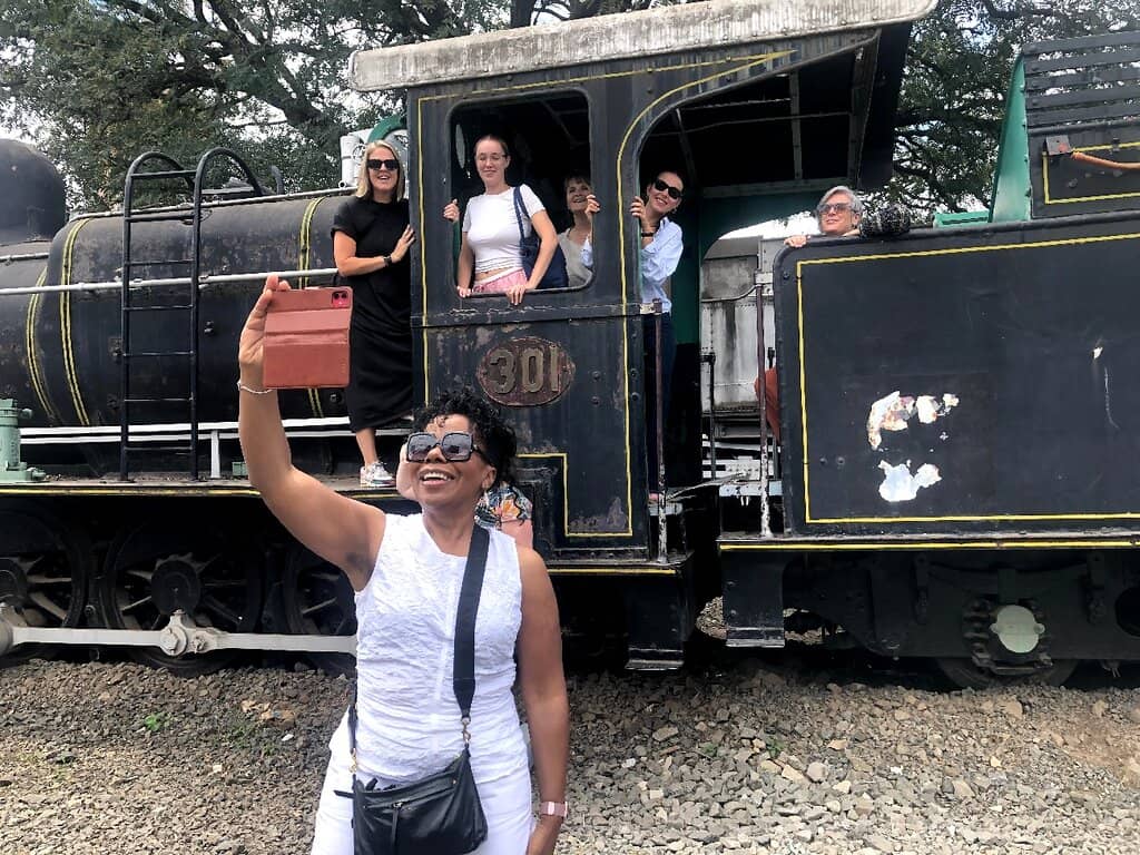 Lion Attack Train Car