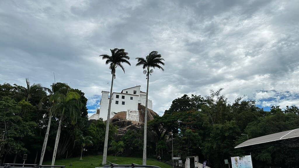 Panoramic City Views