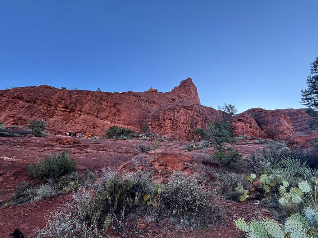 Vortex Energy Spot