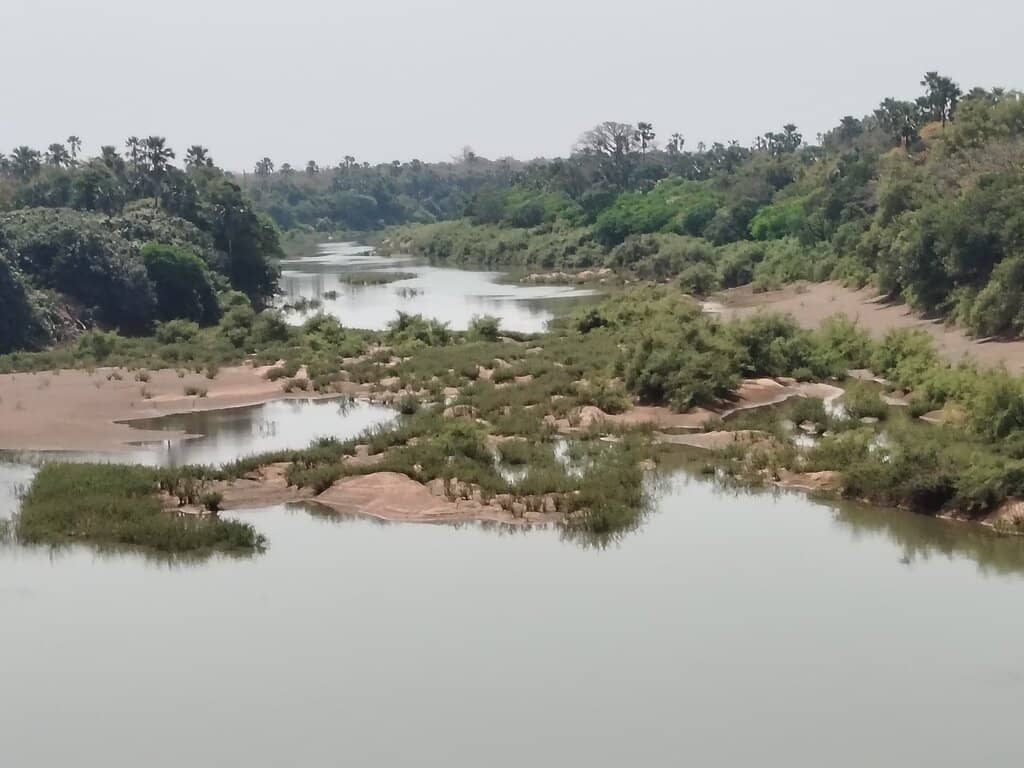 Vertical photo