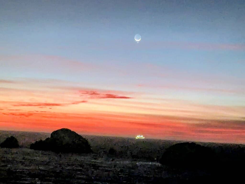 Live Music & Evening Buzz