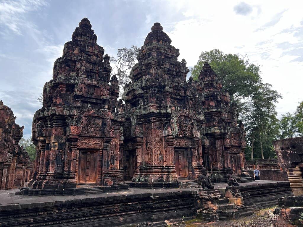 Unique Termite Mounds
