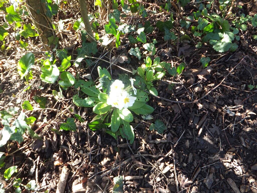 Visitor Centre & Cafe