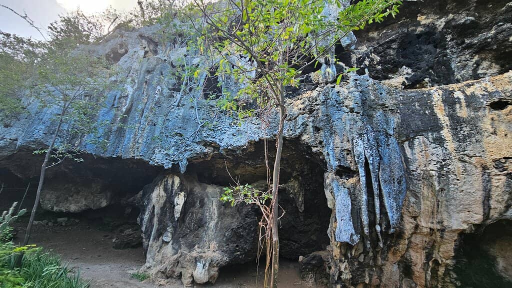 Prehistoric Cave Drawings