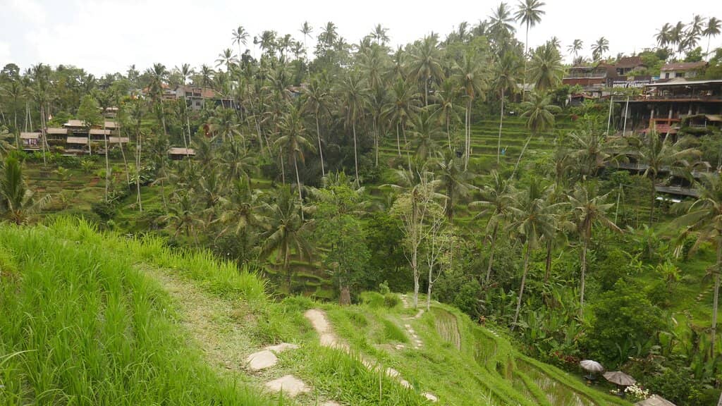 Merapi Volcano Vista