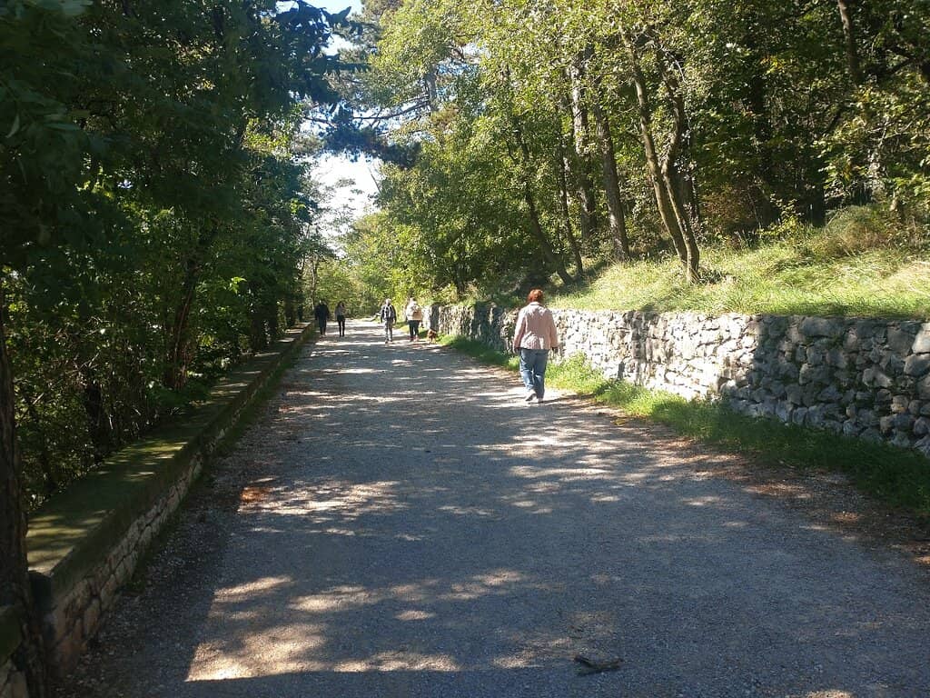 Panoramic Adriatic Views