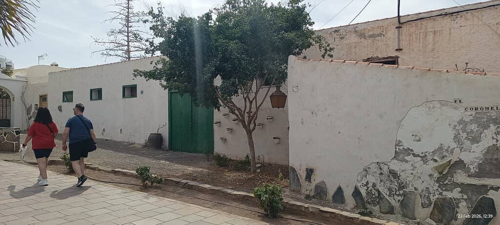 Whale & Dolphin Watching Tours