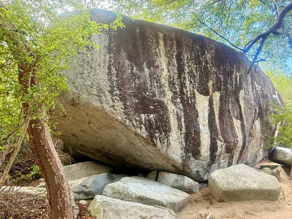 Vertical photo