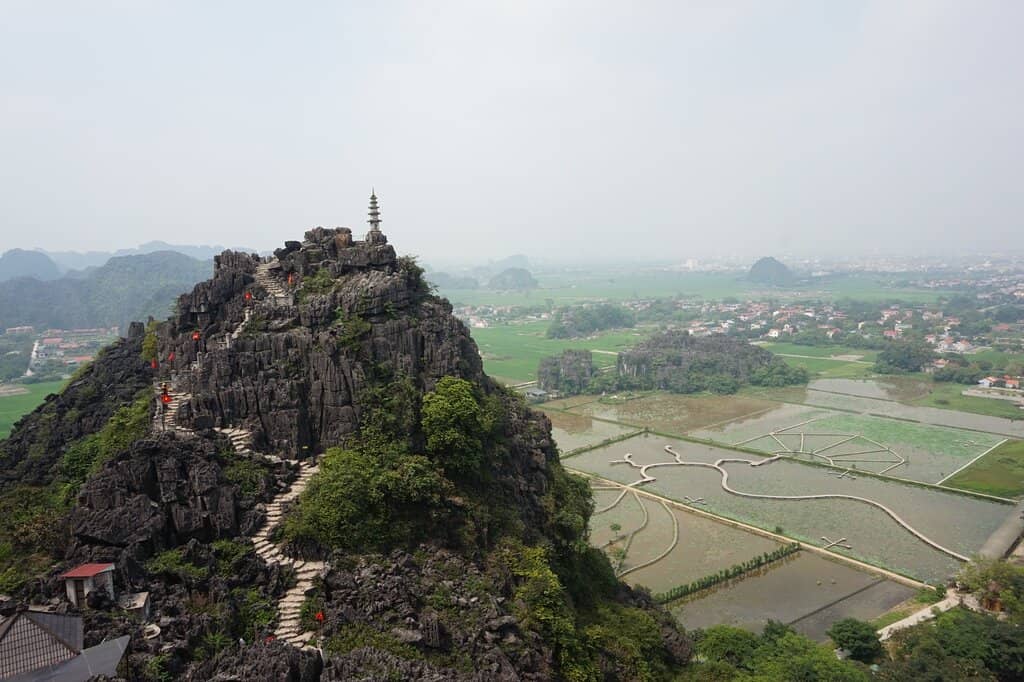 Panoramic Rice Paddies