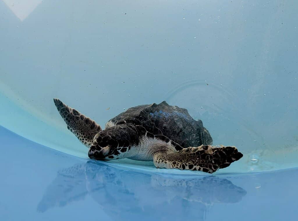 Guided Educational Tour