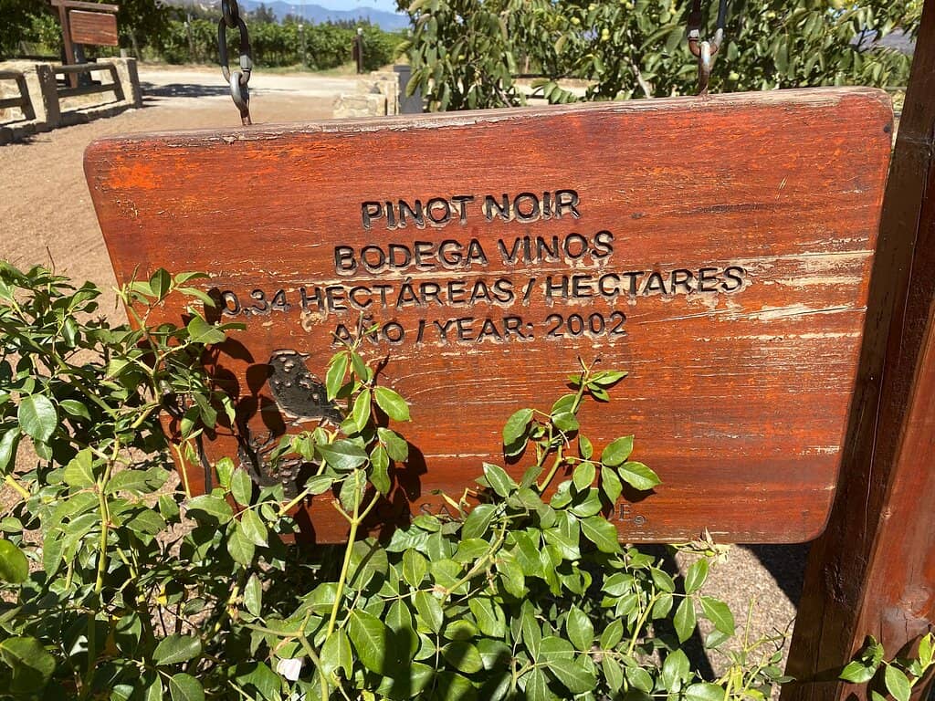 Wine Tasting Experience