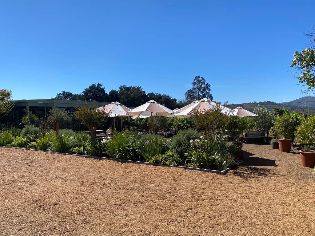 Vineyard Grounds