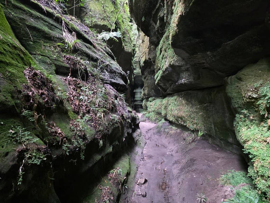 Natural Sculptures