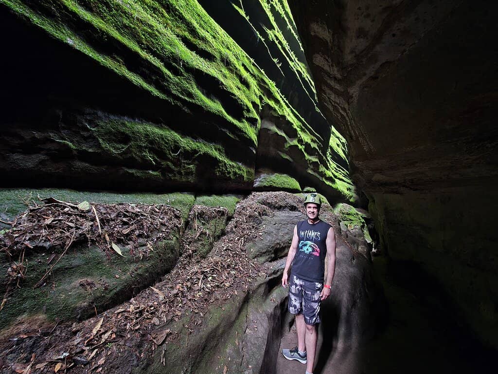 Moss-Covered Walls