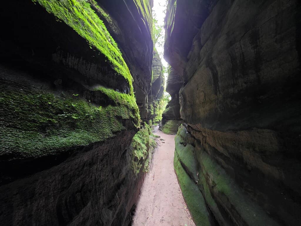 Vertical photo
