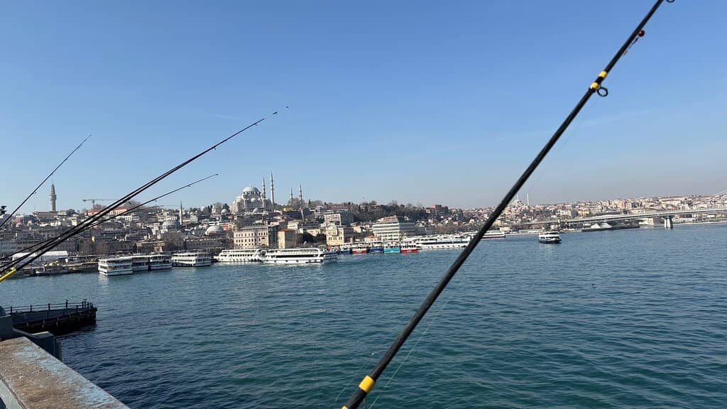 Architectural Fusion