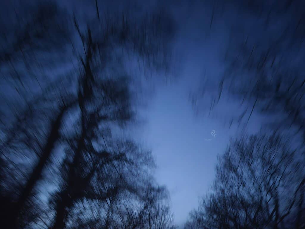 Vertical photo