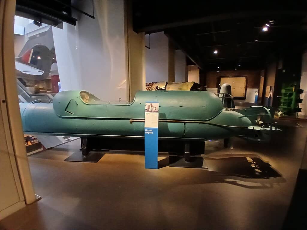 The Blitz Experience