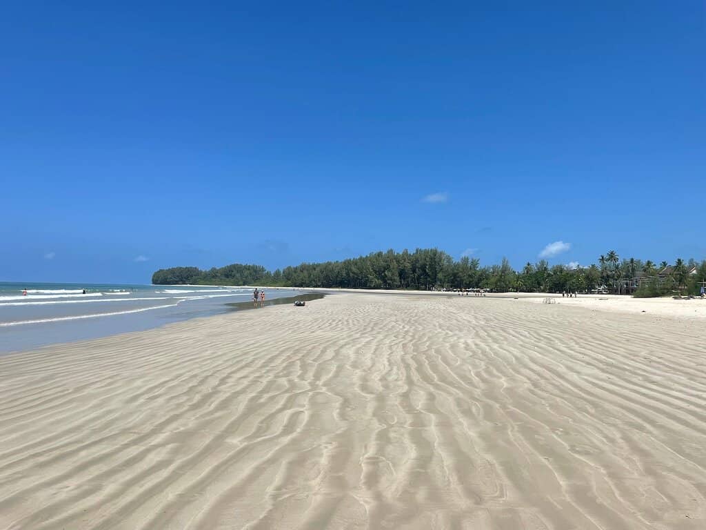Surfer's Paradise