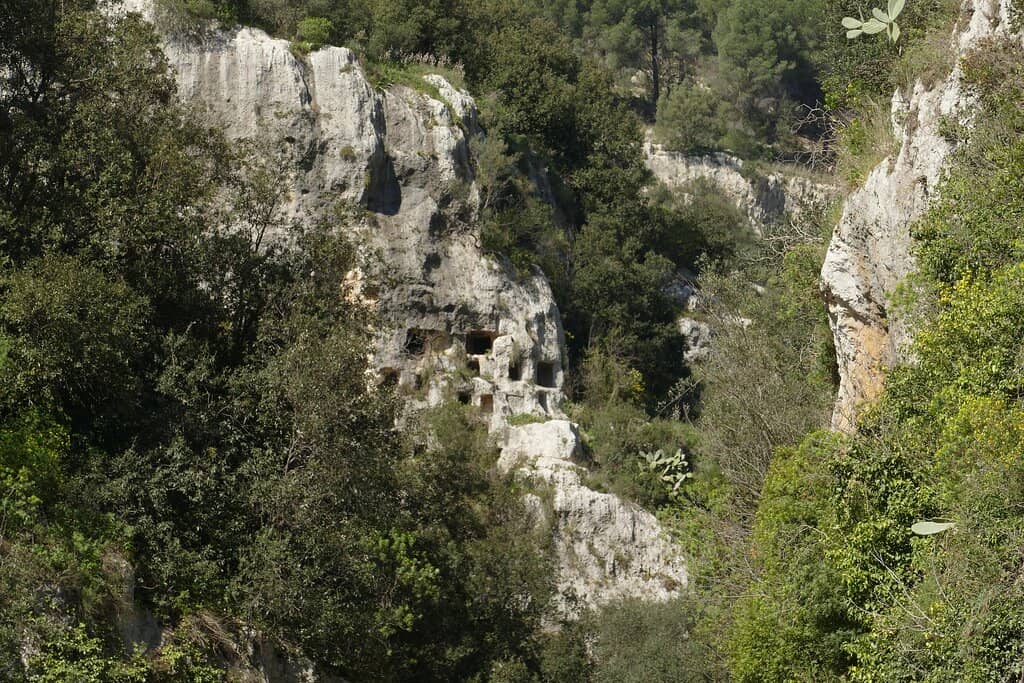 Ancient Necropolis