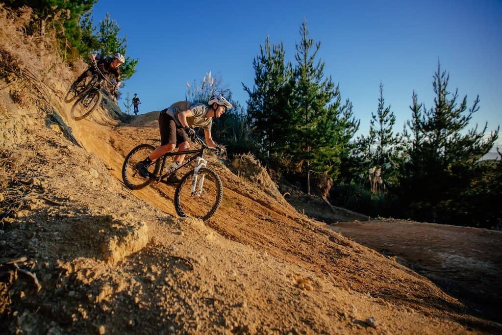 Forest Trails