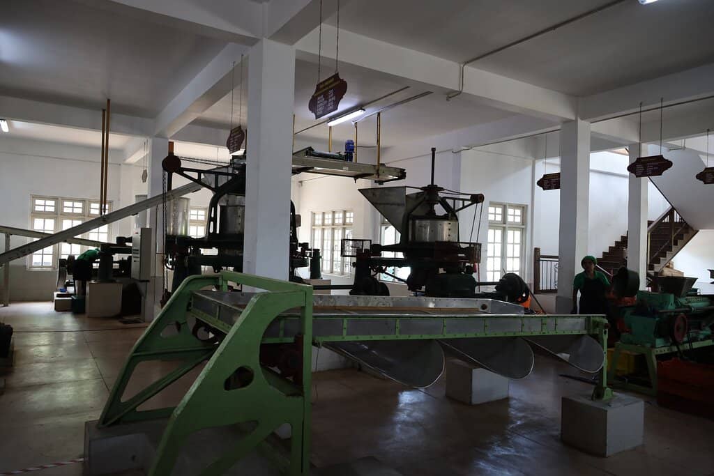 The Tea-Making Process