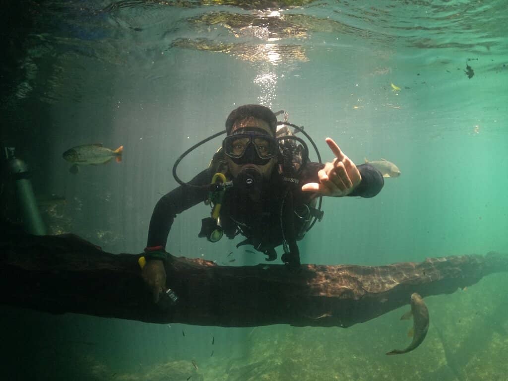 Abundant Aquatic Life