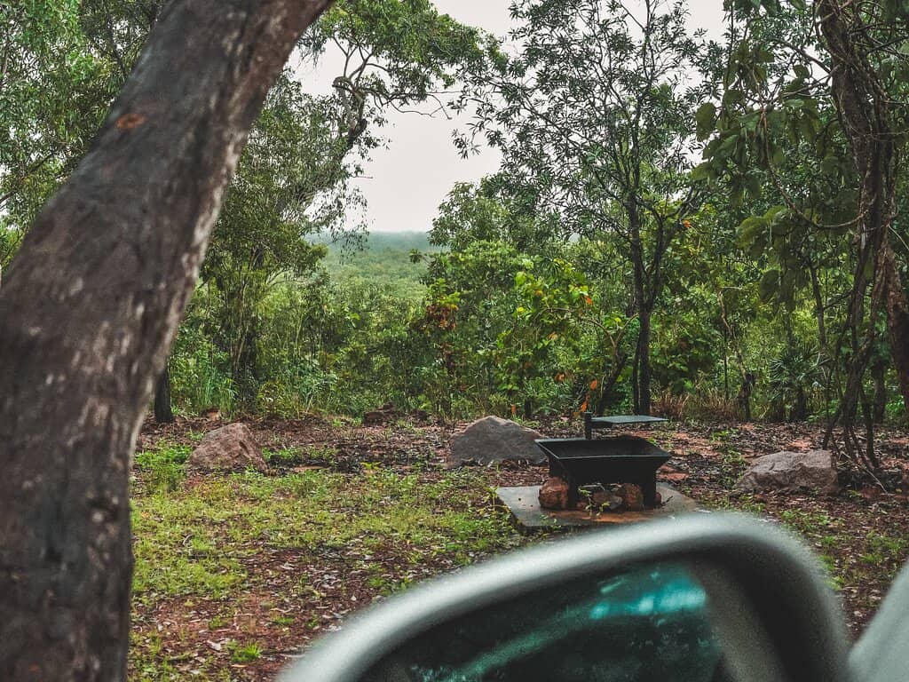 Monsoon Forest Walk