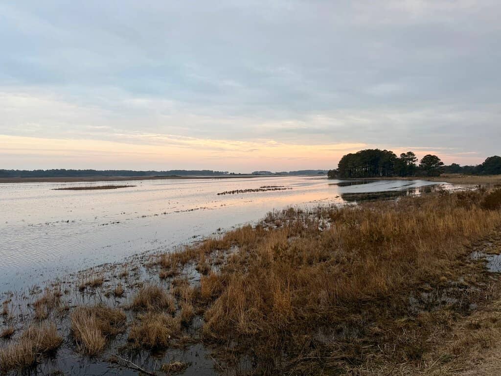 Chincoteague Lighthouse