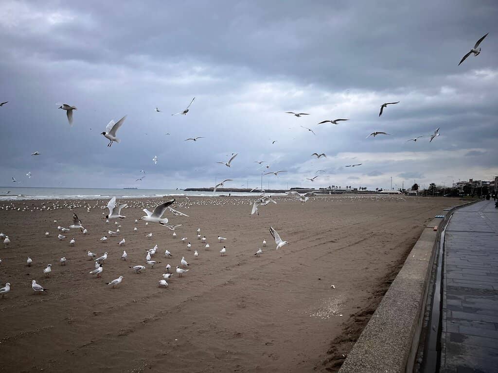 Promenade & Cycle Path