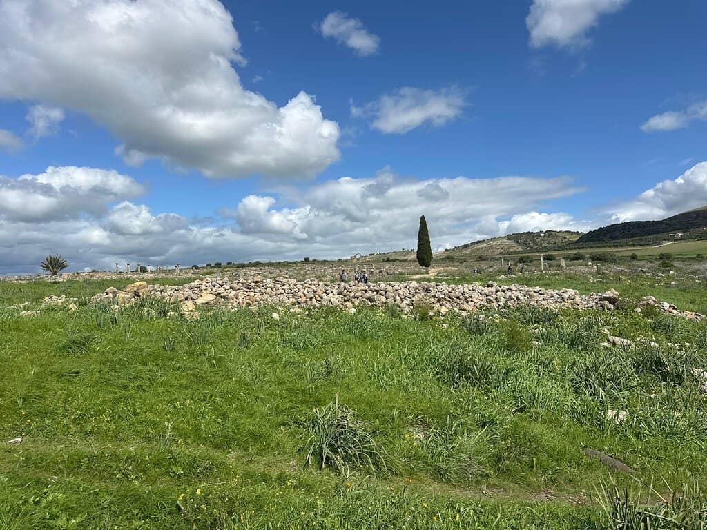 Vertical photo